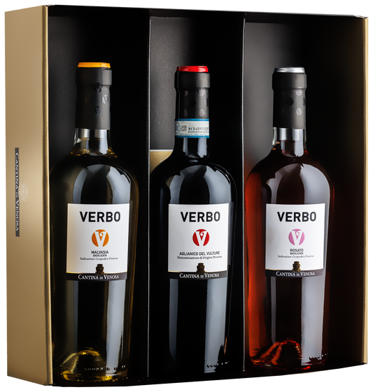 Top case - Verbo line
